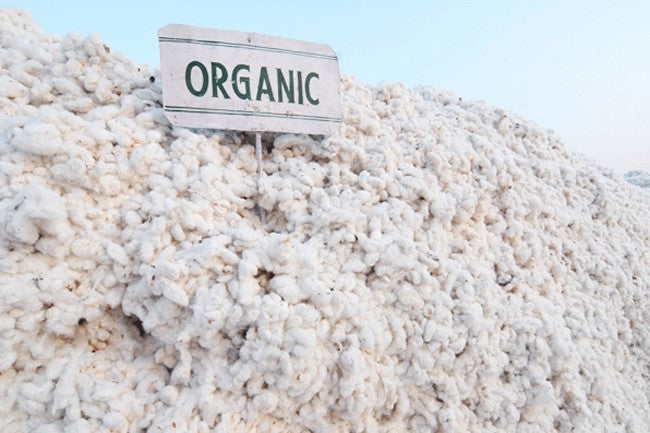 OUR PATH TO SUSTAINABILITY! - Dirty Habits